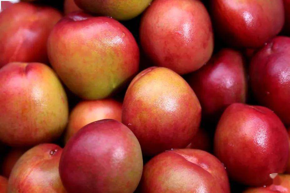 这款特殊水果"俘虏"了我的每个春夏…(好像有福利哦)