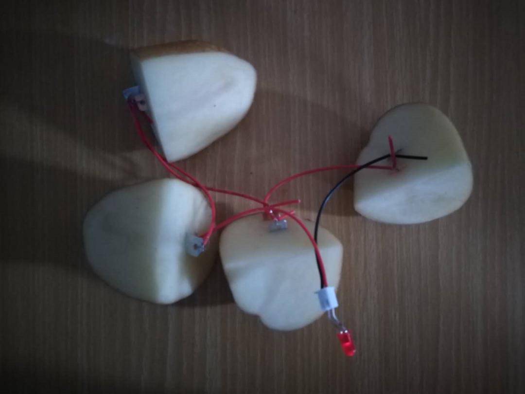 【活动回顾】小记者制作水果电池,探索科学原理