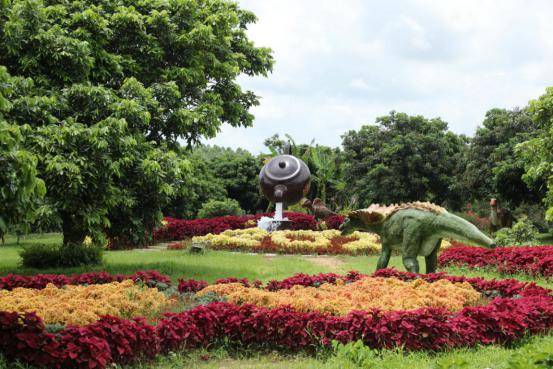 一,北部湾花卉小镇入园时间(9:00-17:00)二,地址1,公交车:c8路公交车