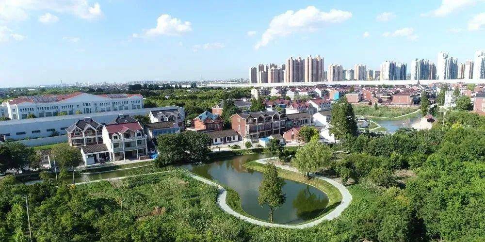 今天,小编要带大家步入罗店镇张士村,看一看第三批乡村振兴示范村的