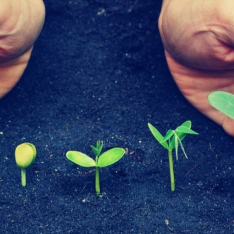 这西瓜是不是被我种成僵尸瓜了