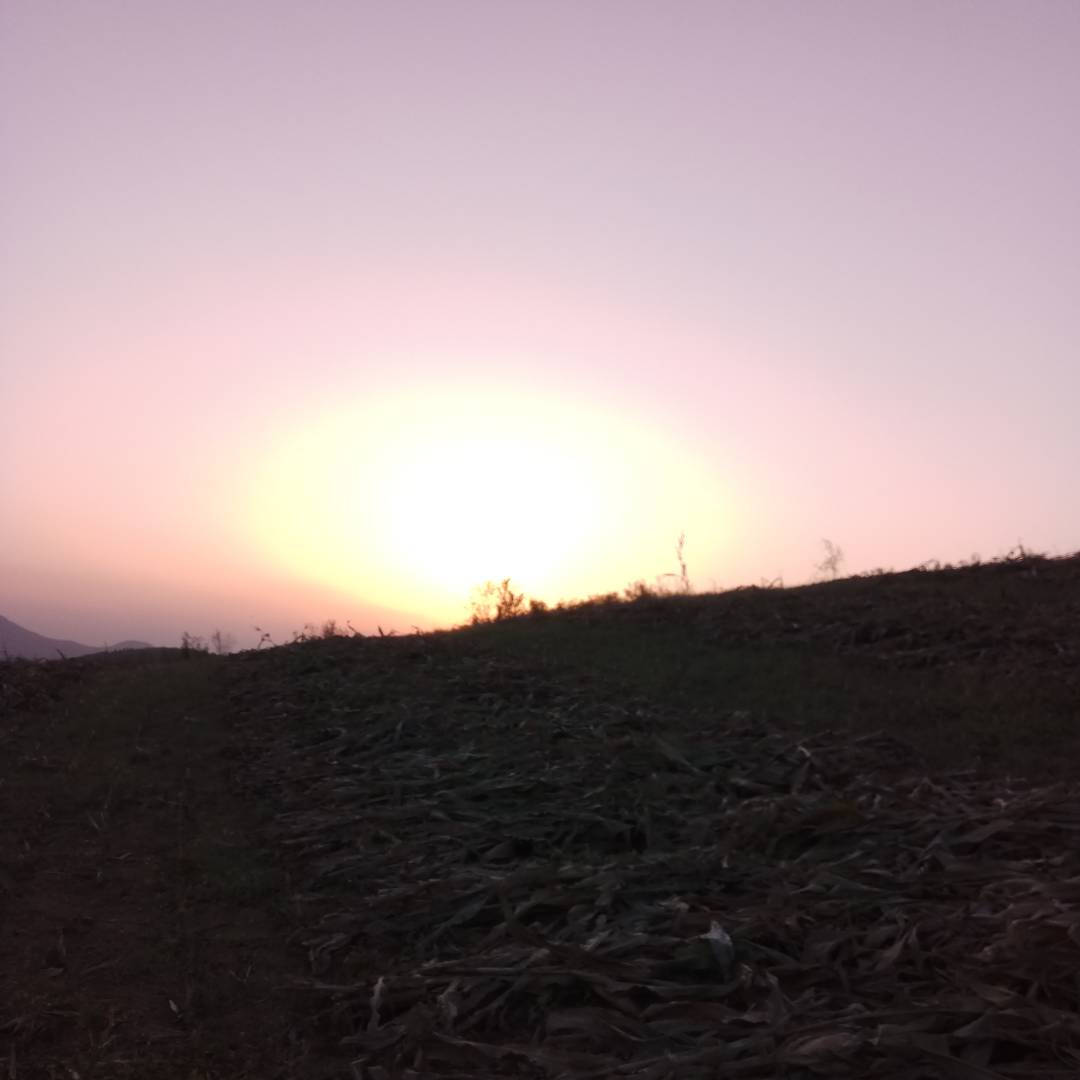 康乃馨绽满窗台,爱意温暖同行 ,大孤山街道富港社区感恩母亲节亲子团辅_妈妈_活动_母爱
