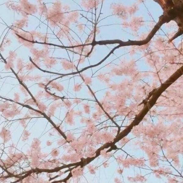 媒体人曝李梦与张隆喜结连理,球迷质疑私生活或影响其核心地位_中国女篮_婚恋_前妻