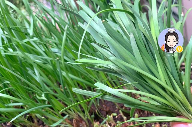 雨婷私厨的个人展示页
