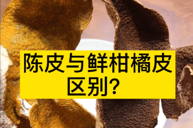 新会陈皮与鲜柑橘皮的区别