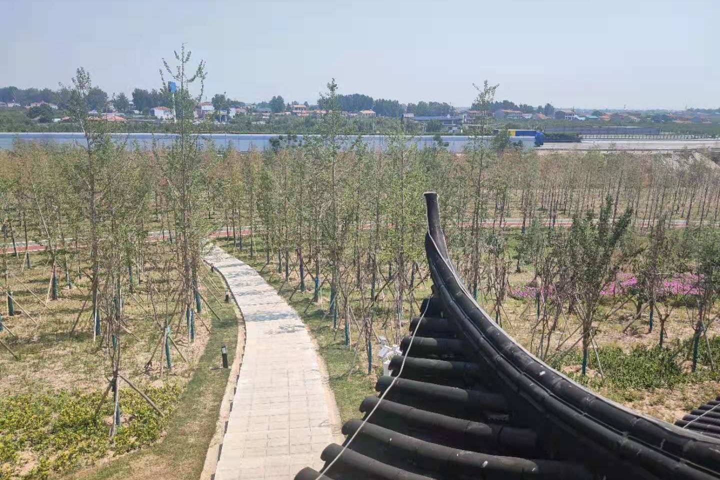 宁陵县以后最大的公园图片
