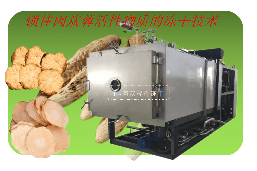 干肉苁蓉怎样蒸制(干肉苁蓉怎样加工成片)