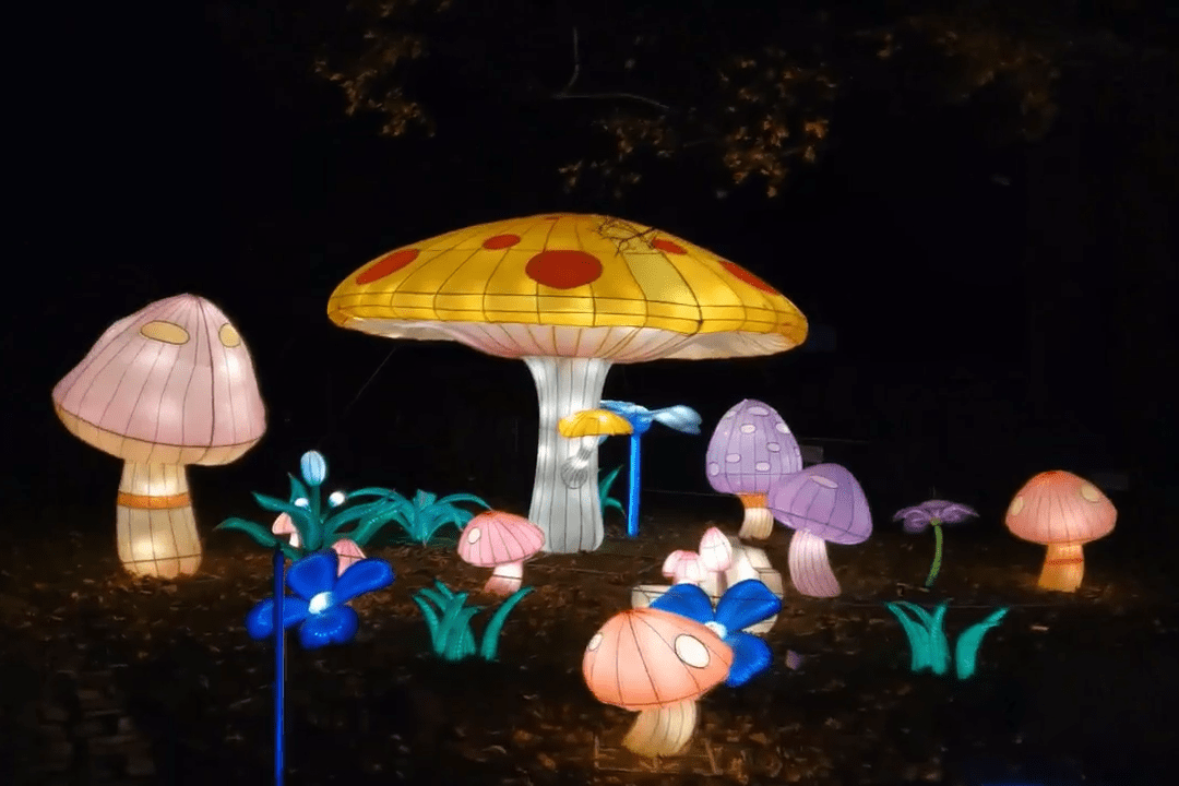 花灯蘑菇灯的介绍图片