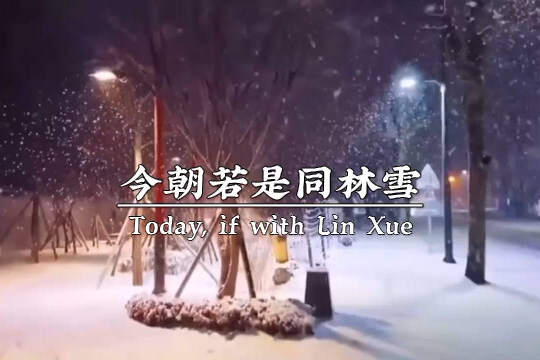 今朝若是同淋雪此生也算共白头的下一句是什么