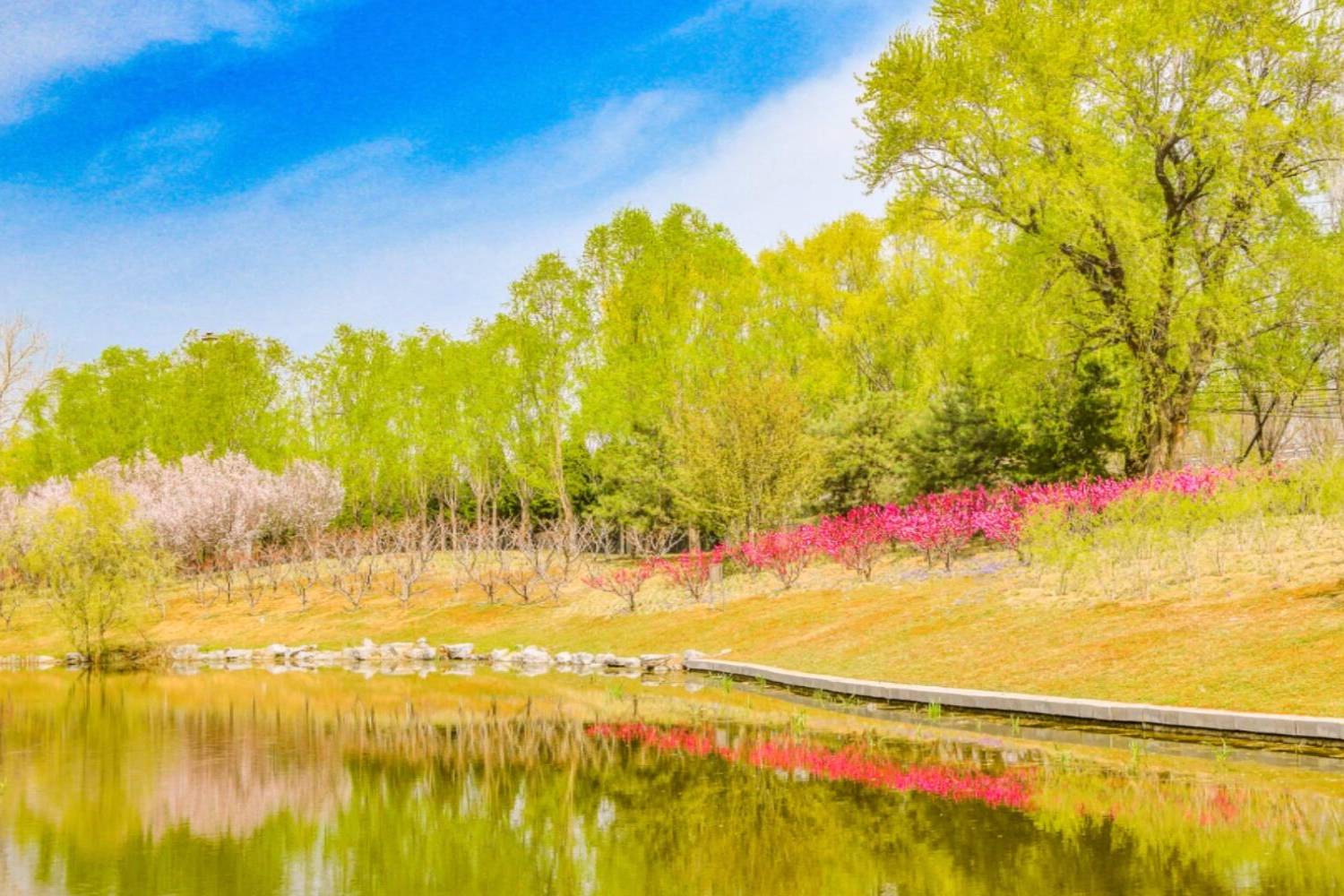 北京春天的大望京公园