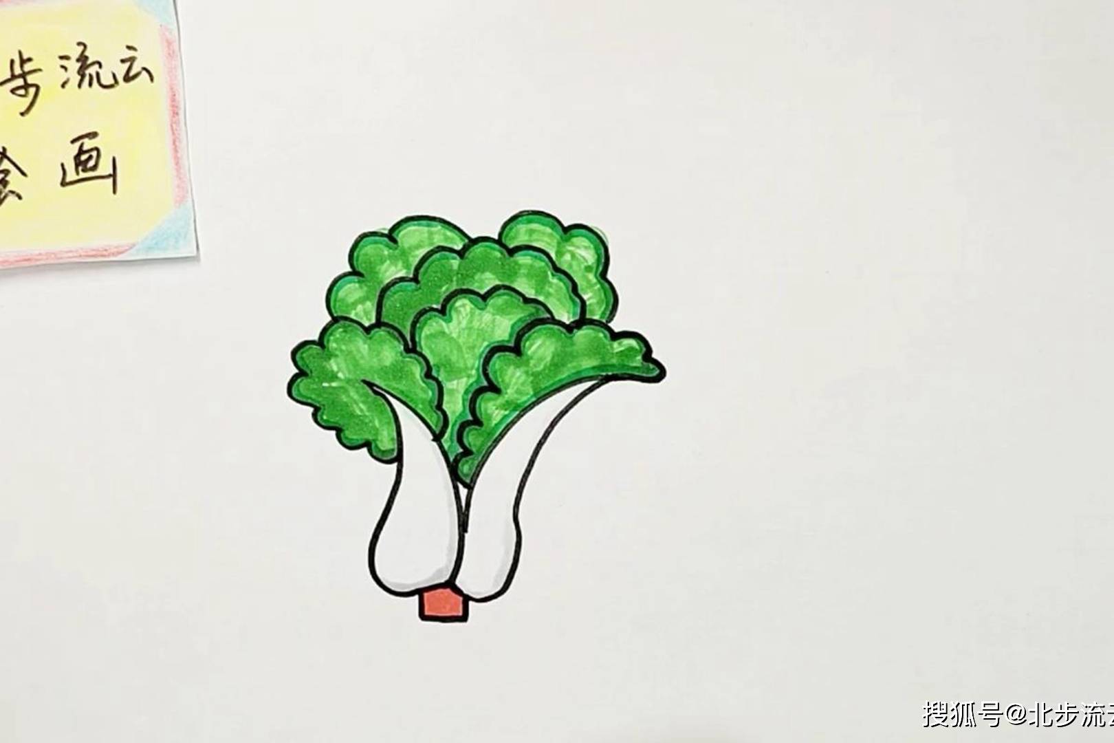 白菜简笔画适合孩子学习画画