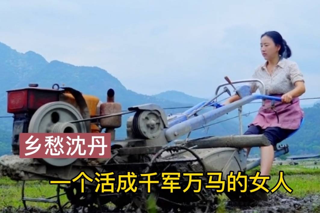 乡愁沈丹为何那么火从离异妇女到千万网红成功背后充满心酸