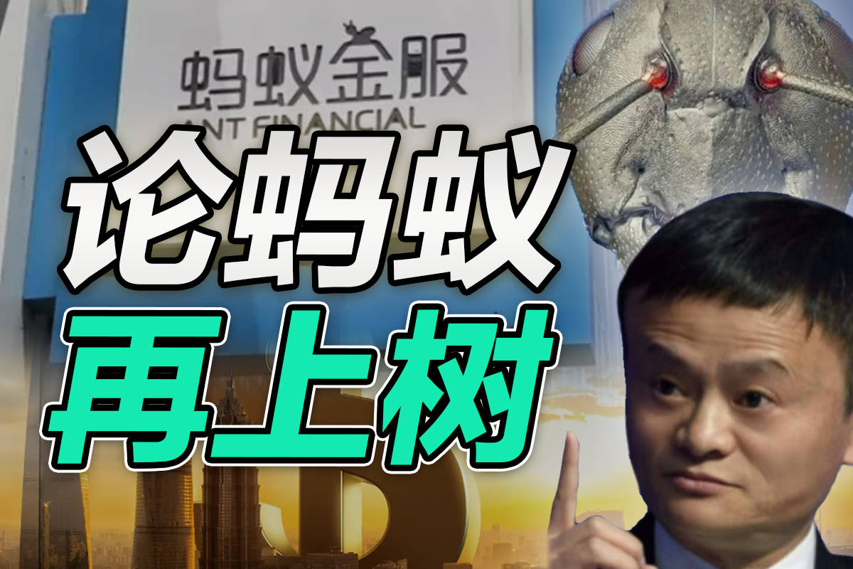 司马南论蚂蚁再上树