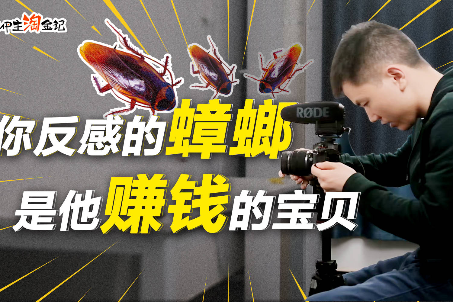 脑洞大开湖北小伙拍蟑螂视频竟能年入数百万