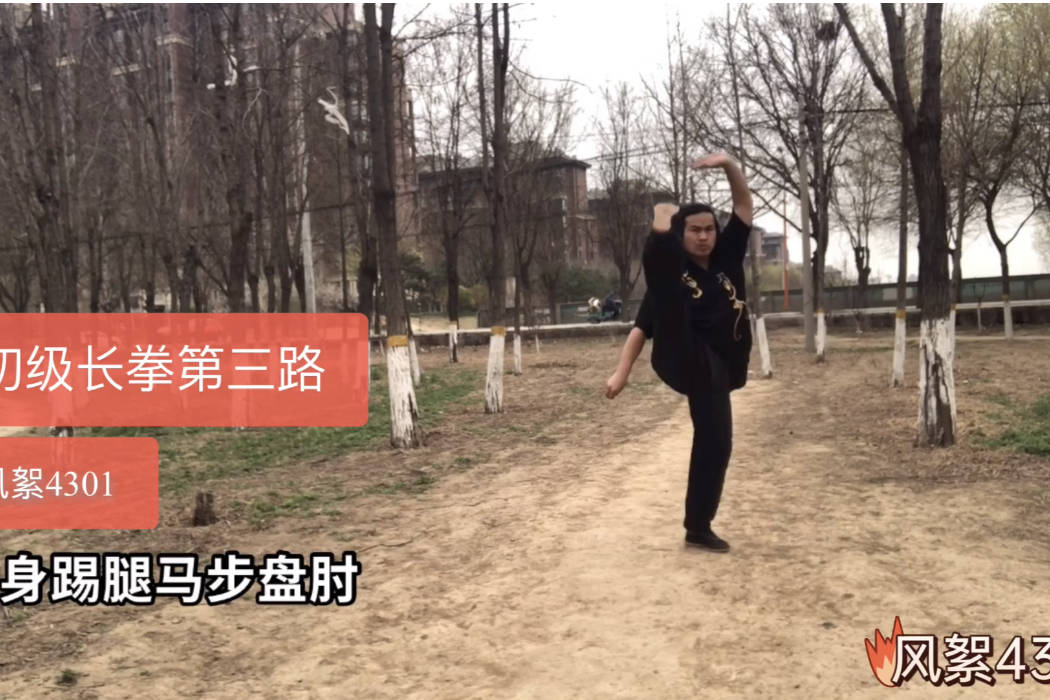 初级长拳第三路教学视频