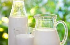 鲜牛奶和纯牛奶的区别？小孩长期喝鲜牛奶好吗