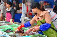 3种海鲜价格不菲，但老渔民很少吃，寄生虫多，很多人喜欢买