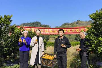 警惕培训机构“优惠陷阱” 高顿教育回应学员：退费先还贷