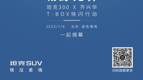 他们说审美历来以柔为美