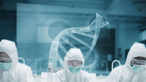 肽的抗氧化应激作用——消除自由基