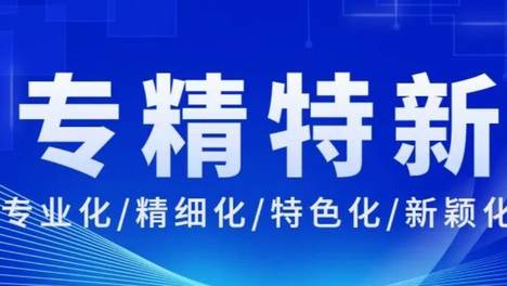 喜获高度认可！云简业财入选「上海市专精特新企业」！