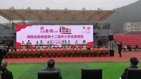 12年光阴 桑植县象棋协会取得的优异成果