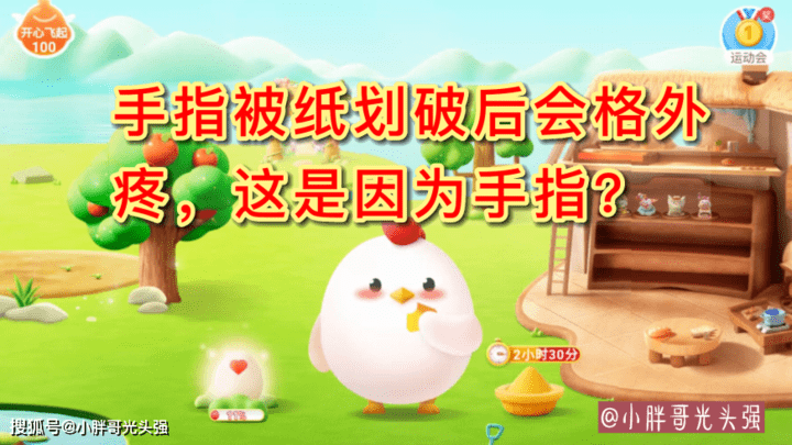 手指被纸划破后会格外疼，这是因为手指的什么特点？