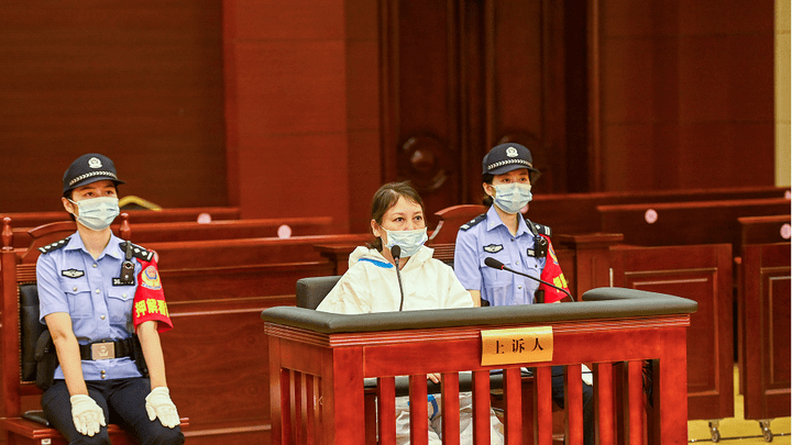 劳荣枝一案的辩护律师吴丹红被立案调查，你怎么看？