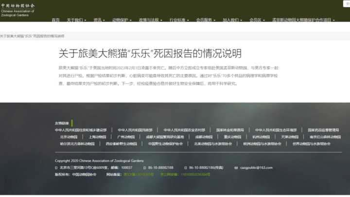 中国动物园协会初判旅美大熊猫乐乐死因为心脏病变，你怎么看？