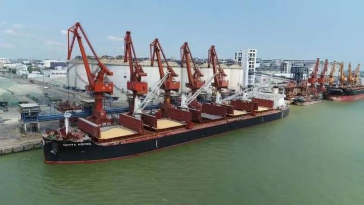 中国从南非进口首船饲料玉米，能改变美国独大格局吗？