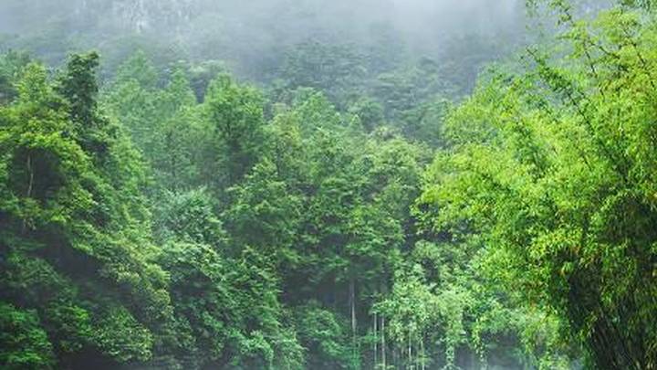 大美中国的风景，你感受到了吗？