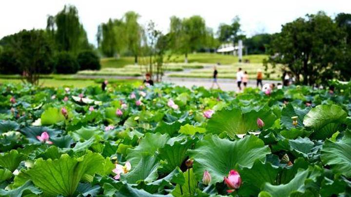 天汉湿地公园，你想去打卡吗？