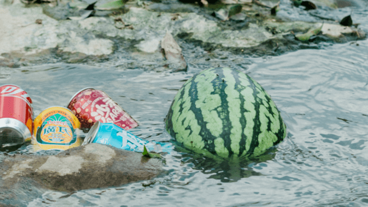 8月的最后一天，你会留住东莞的夏天吗？