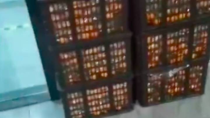 卸8筐只找回4筐半，货主怀疑被吃，检测站应该赔偿吗？