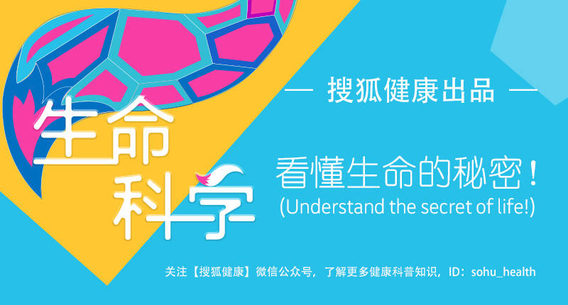用酵母打造“多功能益生菌”,科学家发现治疗炎症性肠炎新方法