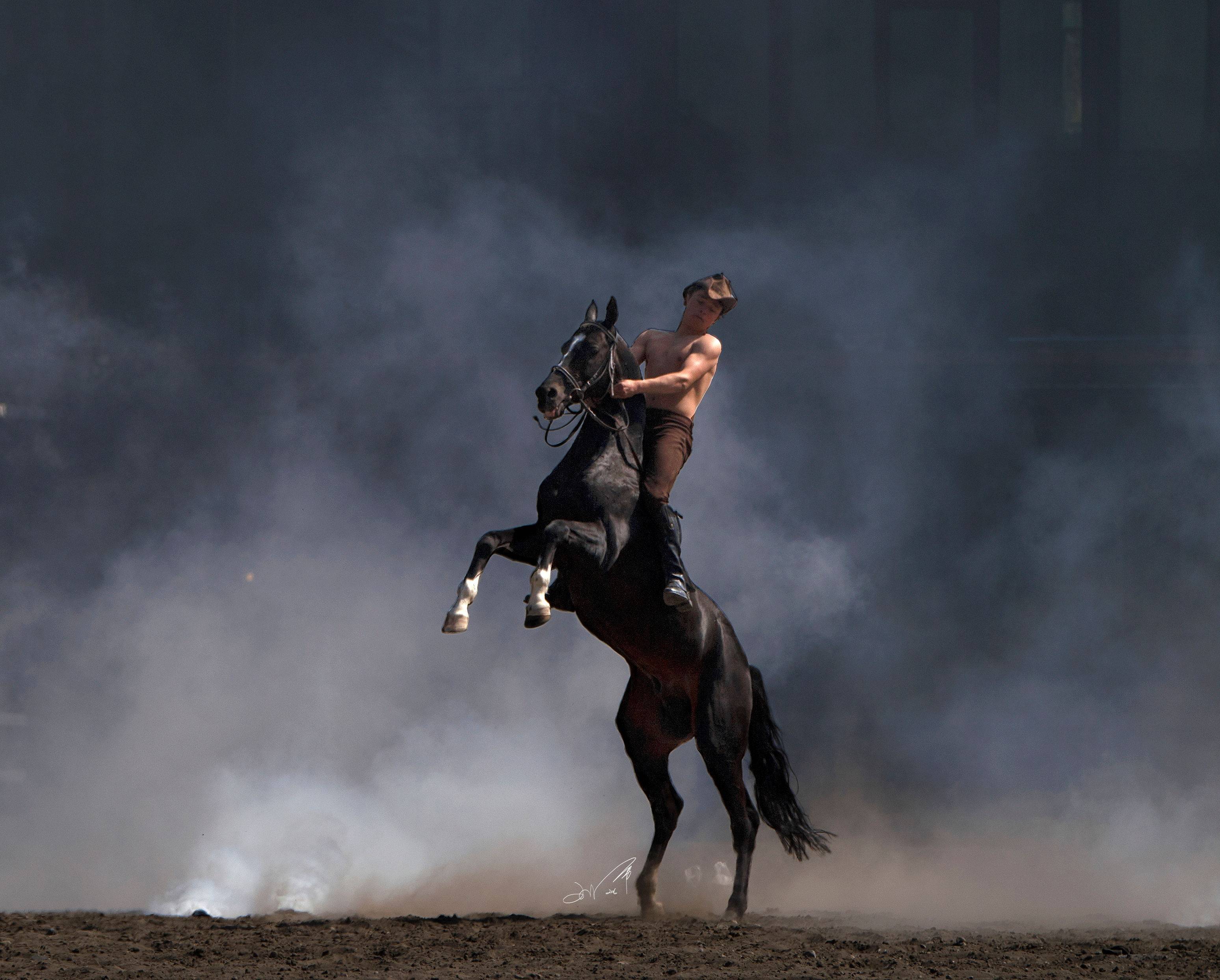 老人都说马有夜眼真的假的