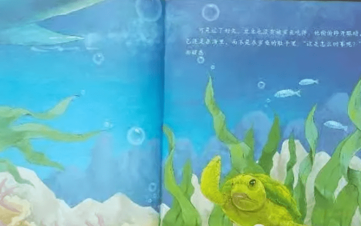 儿童睡前故事《小海龟历险记》绘本故事分享