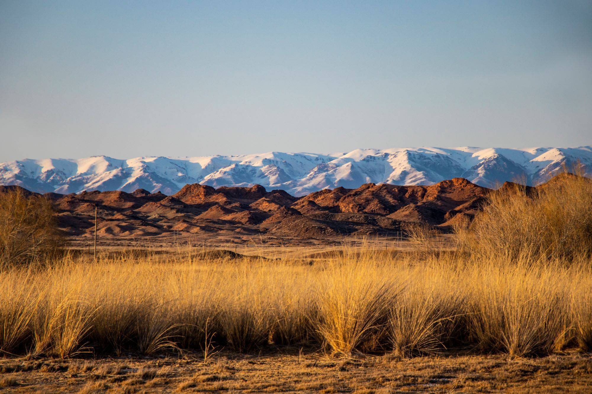 【图说新疆】新疆和布克赛尔:鸢飞草长季 候鸟北归时