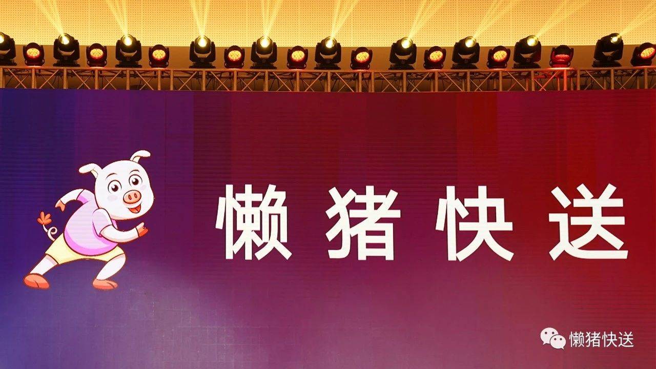 白马跪了懒猪来了