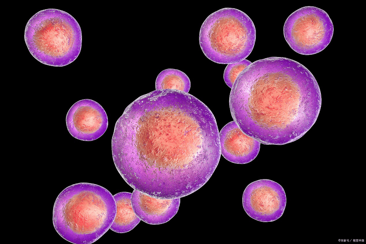 民航通干细胞治疗脑芯片研发蓬勃发展长三角涌现众多创新企业