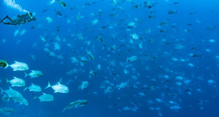 加盟京东天猫苏宁等零售巨头平台,家电经销商要守住三道红线-家电圈官网