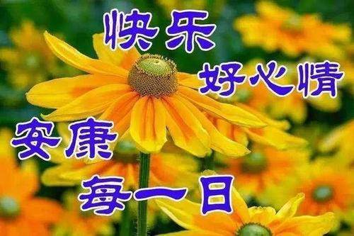 f8622a4fec714832a2ac92ea8d878e68.jpeg