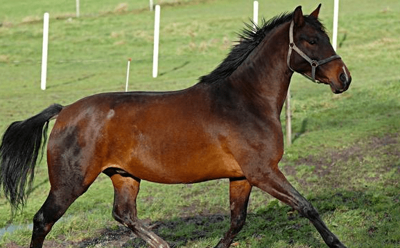 78年马几月份最好 f4538bc2581f4247960f692e21e60004.png