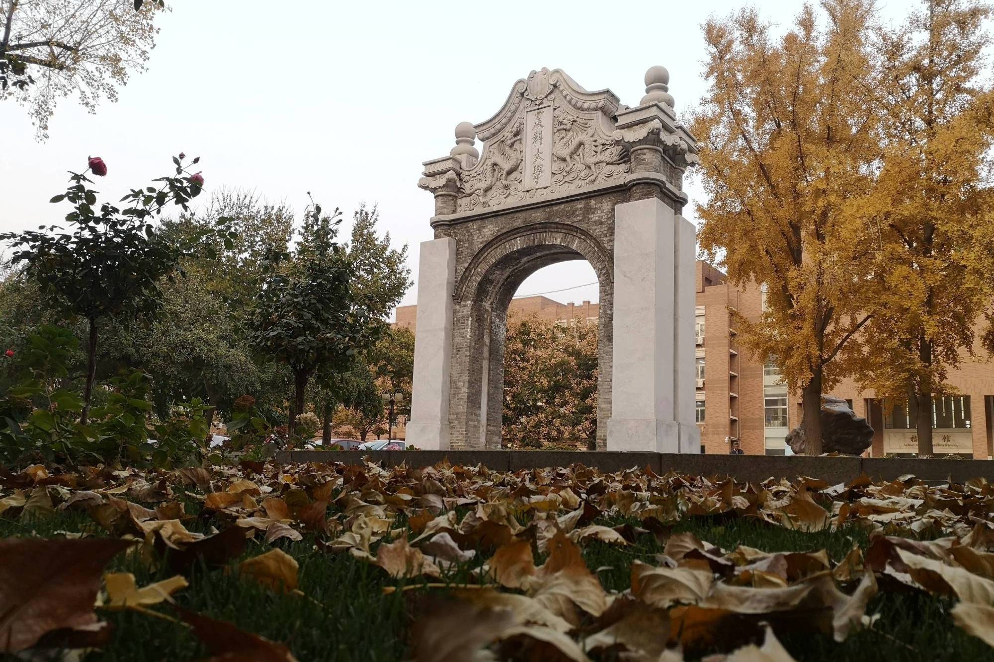 中国农业大学王牌专业有哪些?_就业