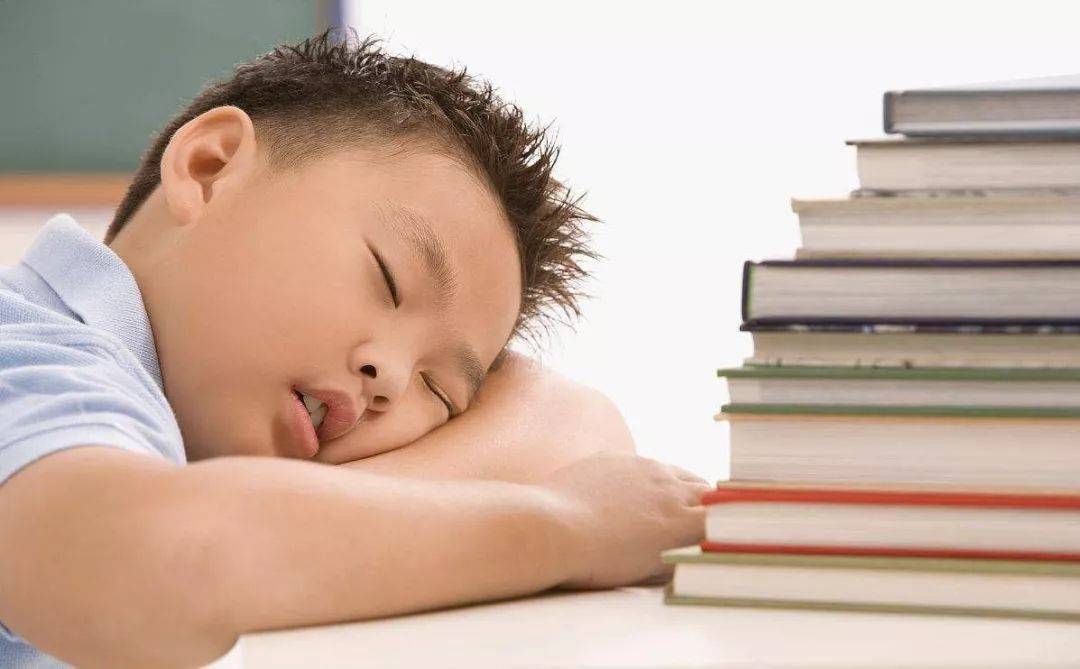 小学生能干什么 68fb8330a0824dfd9a63d0ade00b4eba.jpeg