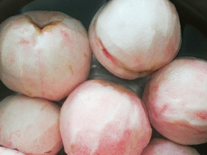 桃子怎么捏软 b1234248866443eba8429371070ee955.png