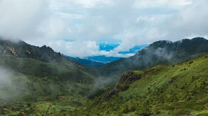奥马电器惠而浦同时易主,但短期内难以撼动家电巨头格局-家电圈官网
