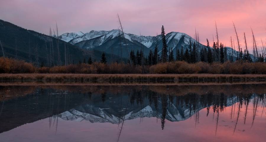 家电企业们到底在制造些什么？不只是产品，而是人心！-家电圈官网