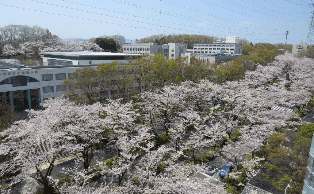 檸檬留學大學巡禮日本創價大學申請條件