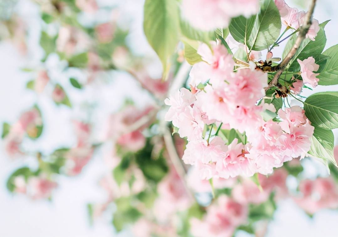 5月日 好运加持 必定会腰缠万贯 大富大贵的星座 天蝎座